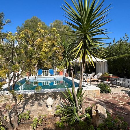 Finca Malata Turis Екстер'єр фото