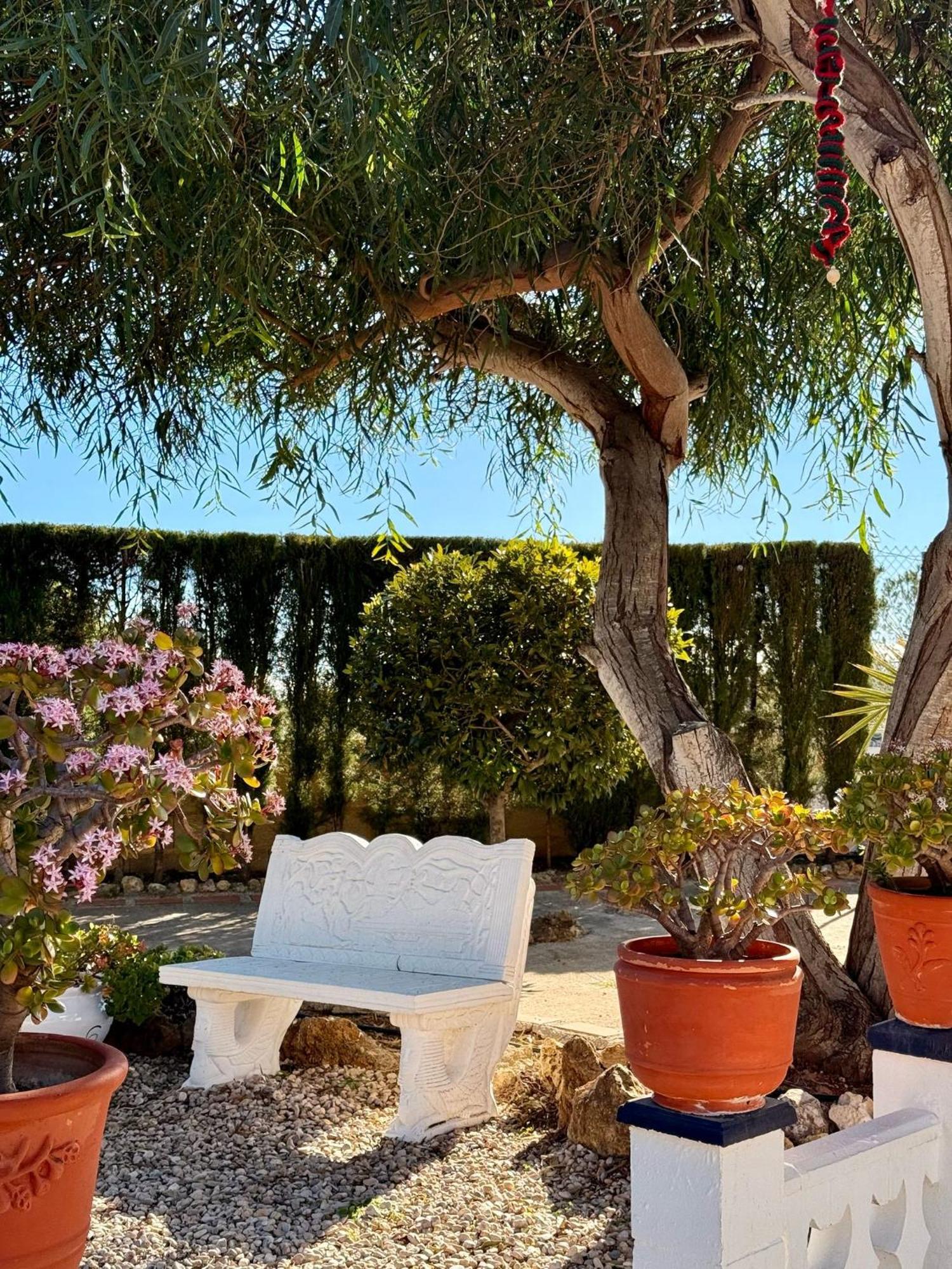 Finca Malata Turis Екстер'єр фото